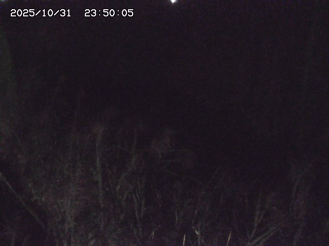 由良川42025/10/31 23:40