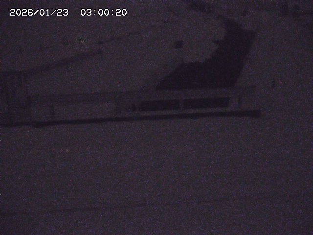 亀谷川１2026/01/24 02:30