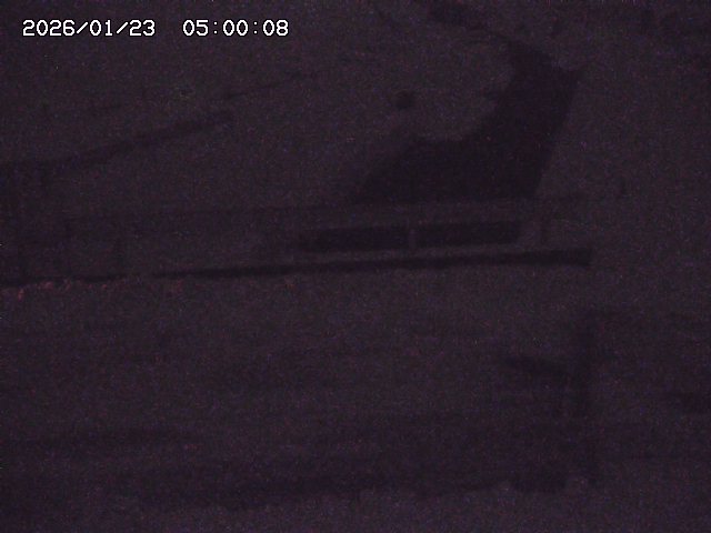 亀谷川１2026/01/24 02:30