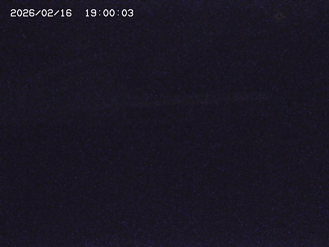 亀谷川１2026/02/17 18:10