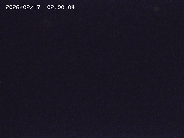 亀谷川１2026/02/17 18:10