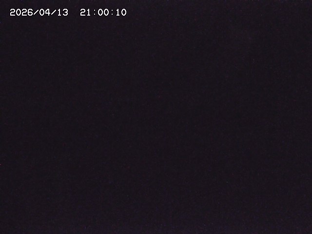 亀谷川１2026/04/14 16:50