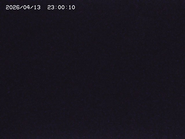 亀谷川１2026/04/14 16:50