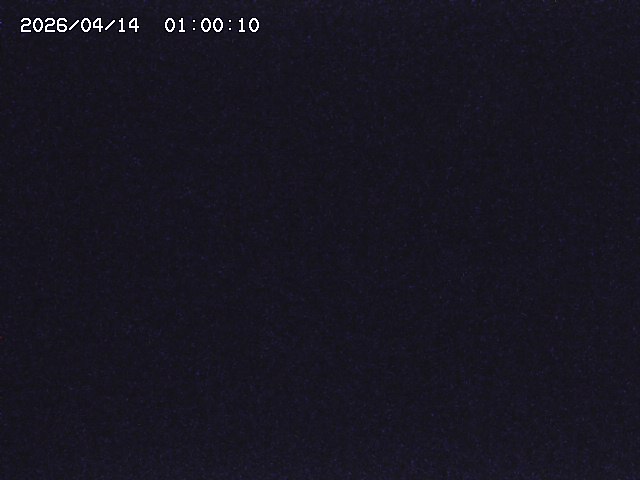 亀谷川１2026/04/14 16:50