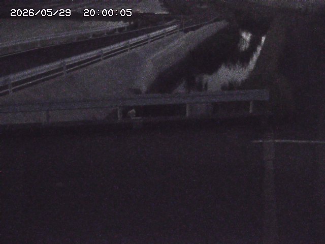 亀谷川１2026/05/30 19:40