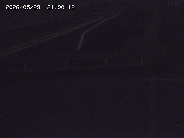 亀谷川１2026/05/30 19:40