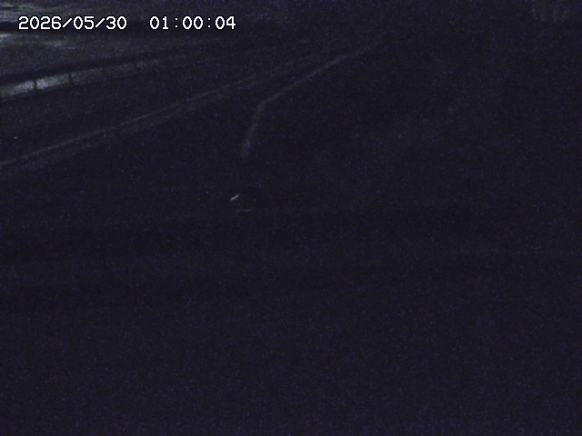 亀谷川１2026/05/30 19:40