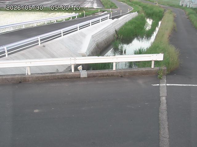 亀谷川１2026/05/30 19:40