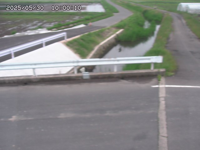 亀谷川１2026/05/30 19:40