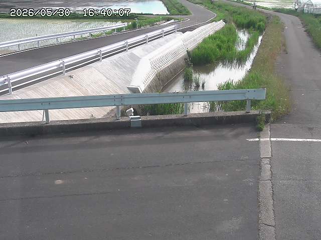 亀谷川１2026/05/30 19:40