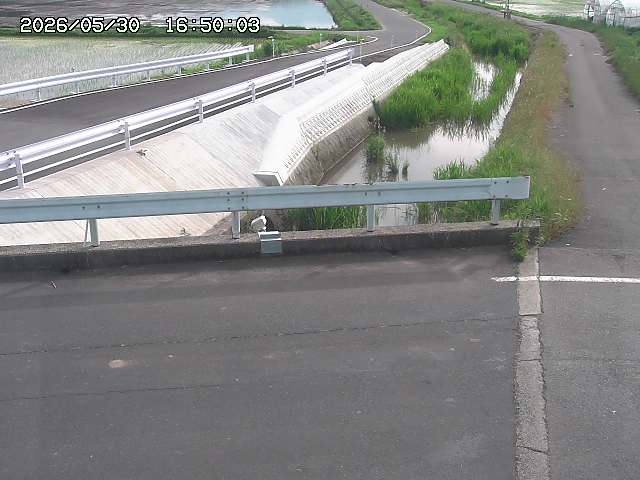 亀谷川１2026/05/30 19:40