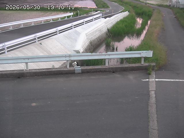 亀谷川１2026/05/30 19:40