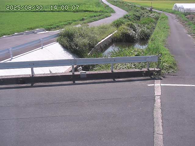 亀谷川１2025/08/31 09:10