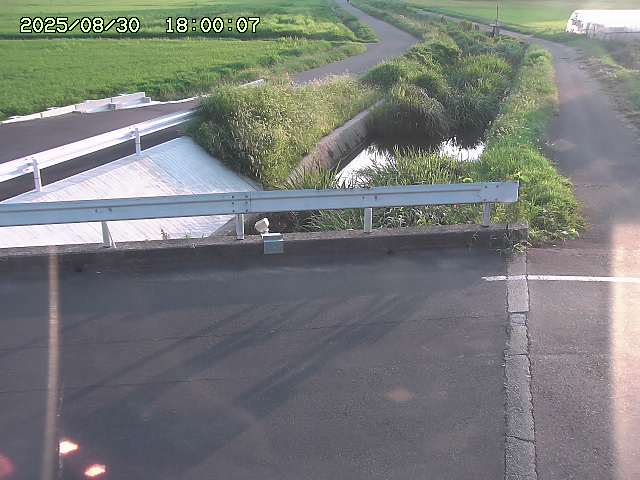 亀谷川１2025/08/31 09:10