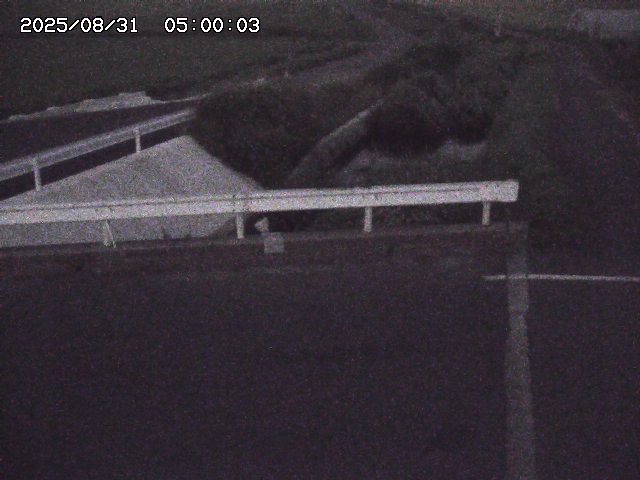 亀谷川１2025/08/31 09:10