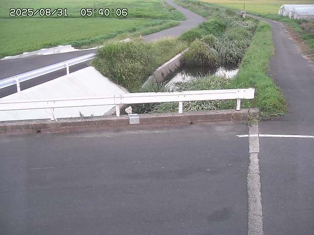亀谷川１2025/08/31 09:10
