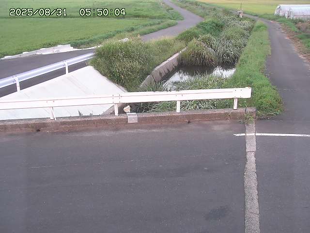 亀谷川１2025/08/31 09:10
