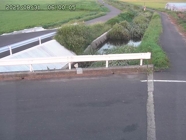 亀谷川１2025/08/31 09:10