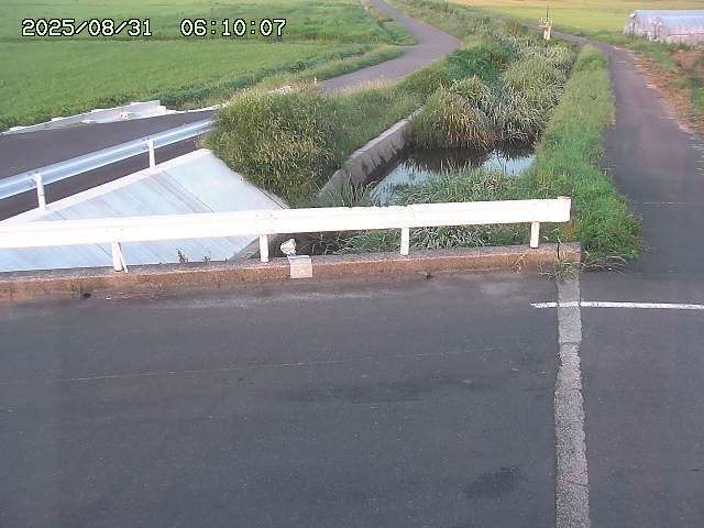 亀谷川１2025/08/31 09:10
