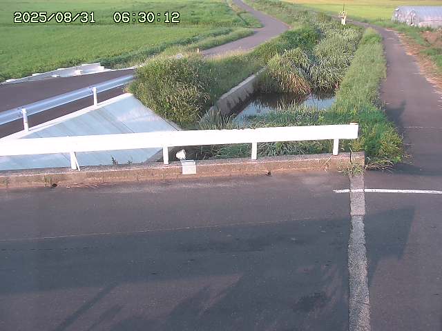 亀谷川１2025/08/31 09:10
