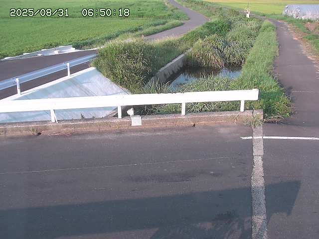 亀谷川１2025/08/31 09:10