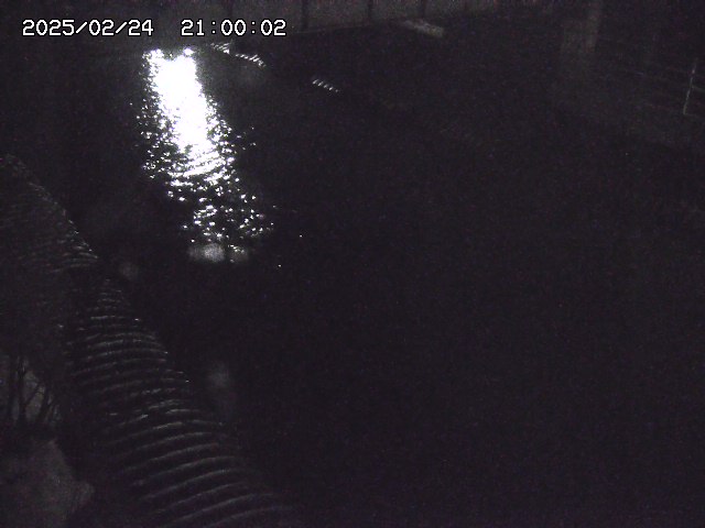 宇田川１2026/02/25 02:30