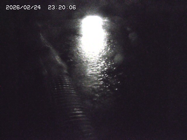 宇田川１2026/02/25 02:30