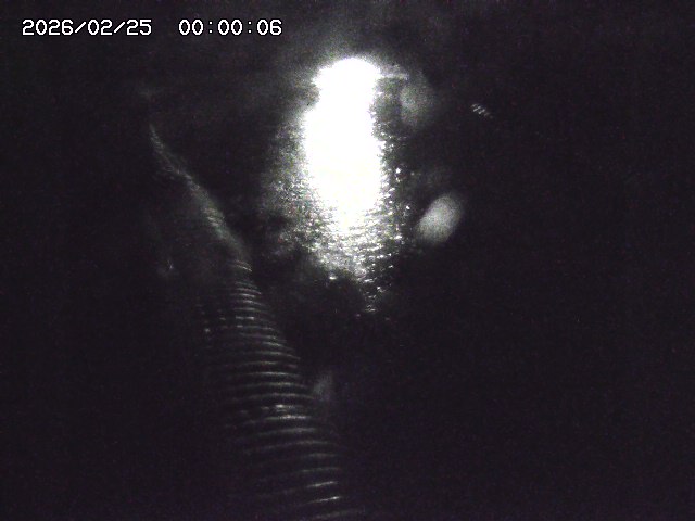 宇田川１2026/02/25 02:30