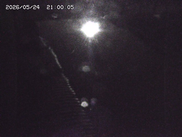 宇田川１2026/05/25 21:20
