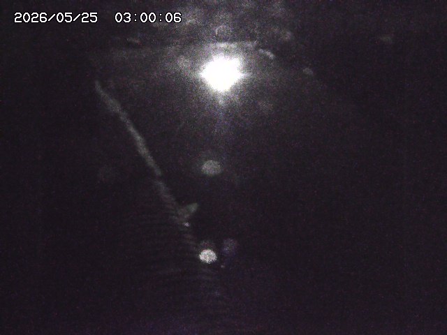 宇田川１2026/05/25 21:20
