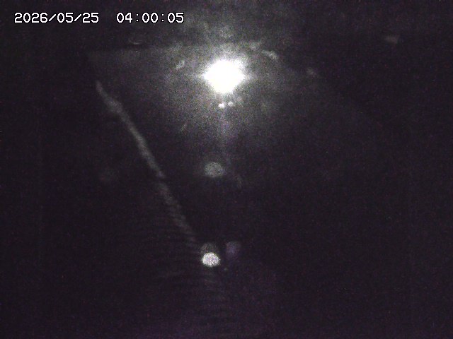 宇田川１2026/05/25 21:20