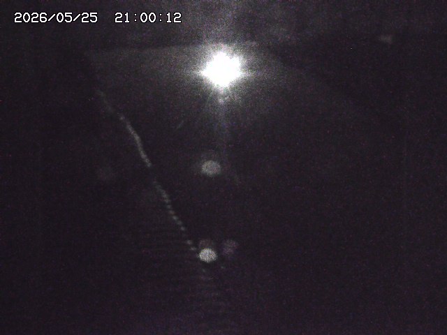 宇田川１2026/05/25 21:20