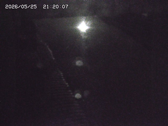 宇田川１2026/05/25 21:20