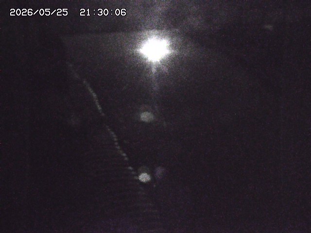 宇田川１2026/05/25 21:20