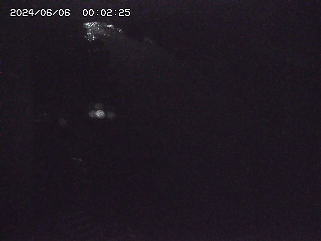 宇田川１2025/06/06 01:20