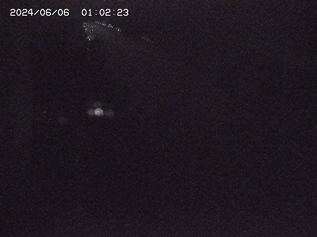 宇田川１2025/06/06 01:20
