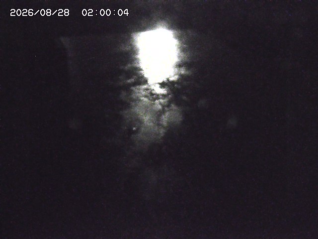 宇田川１2026/08/28 16:50