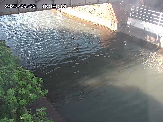 宇田川１2025/08/31 11:10