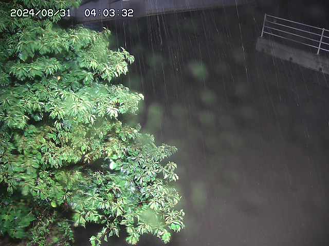 宇田川１2025/08/31 11:10