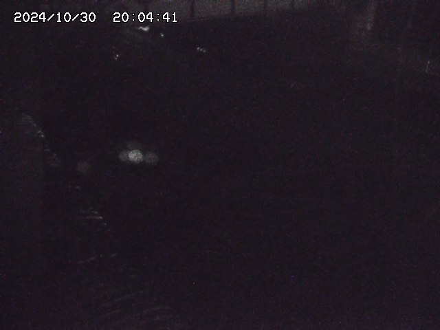 宇田川12025/10/31 07:40