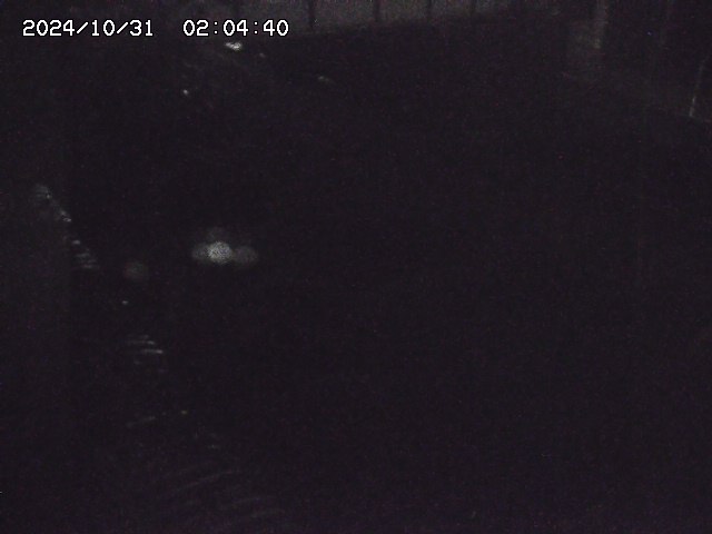 宇田川12025/10/31 07:40