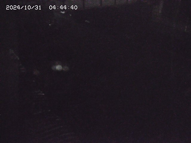 宇田川12025/10/31 07:40