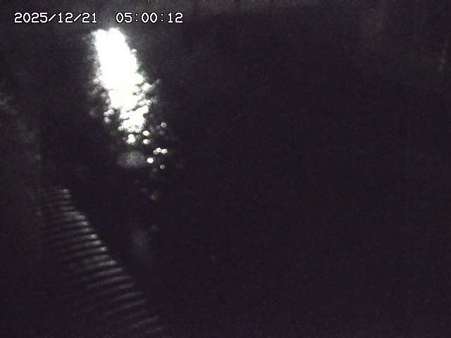 宇田川１2025/12/22 00:50