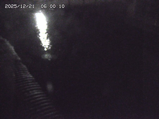 宇田川１2025/12/22 00:50