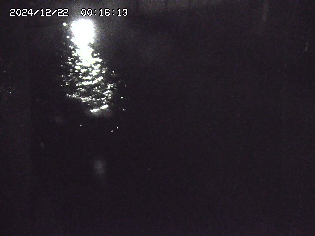 宇田川１2025/12/22 00:50