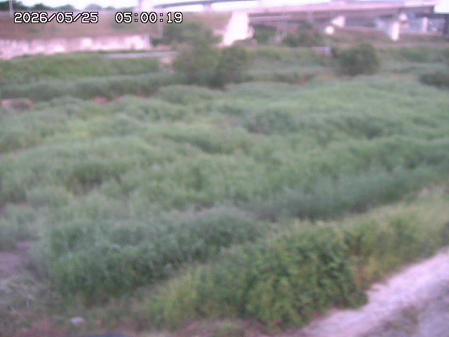 佐陀川２2026/05/25 21:40:00