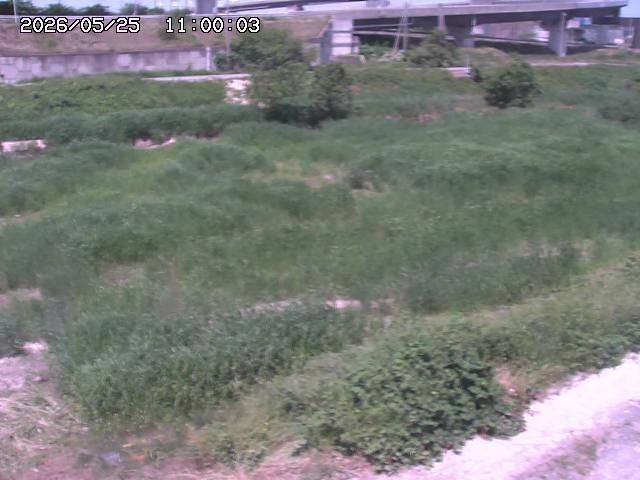 佐陀川２2026/05/25 21:40:00