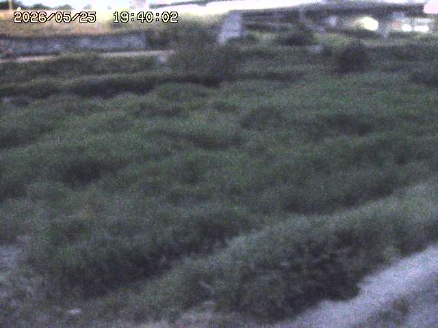 佐陀川２2026/05/25 21:40:00