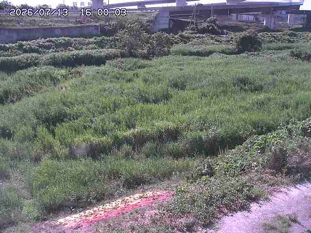 佐陀川２2026/07/14 15:20:00