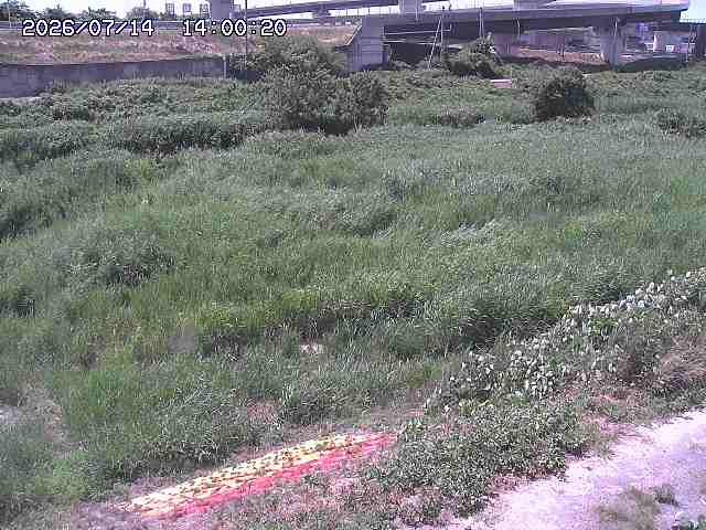 佐陀川２2026/07/14 15:20:00